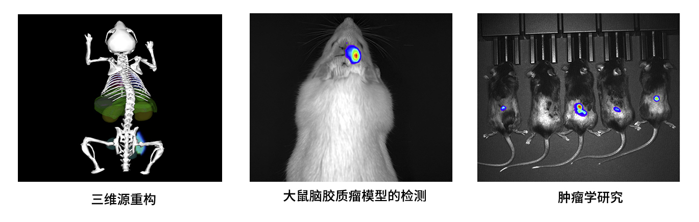 博鷺騰AniView Kirin 系列小動(dòng)物活體三維成像系統(tǒng) 博鷺騰AniView Kirin 系列小動(dòng)物活體三維成像系統(tǒng)