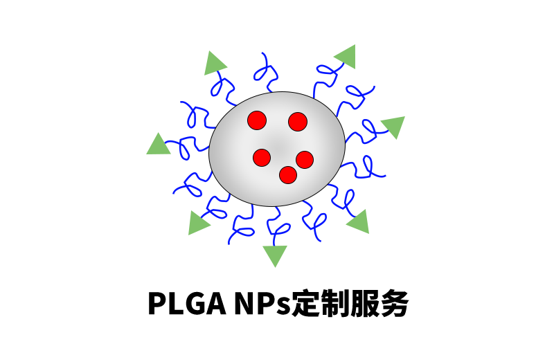 PLGA NPs定制服務