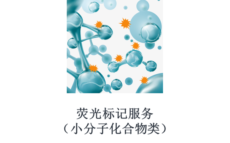 熒光標記服務（小分子化合物類）