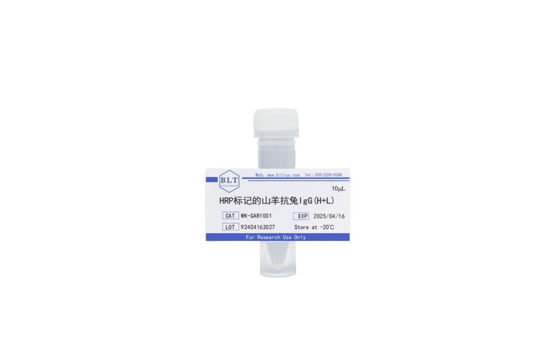 HRP標記的山羊抗兔IgG(H+L)