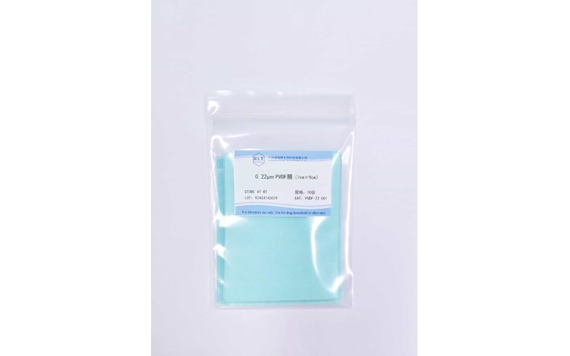 0.22 μm PVDF轉(zhuǎn)印膜