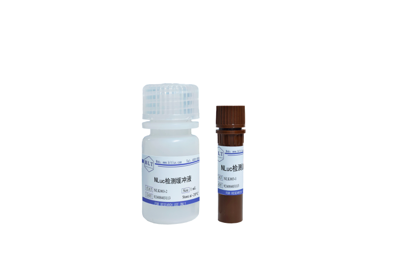 NLuc熒光素酶檢測試劑盒