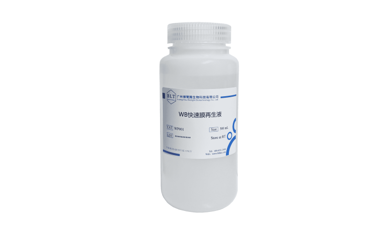 WB快速膜再生液（增強(qiáng)型）