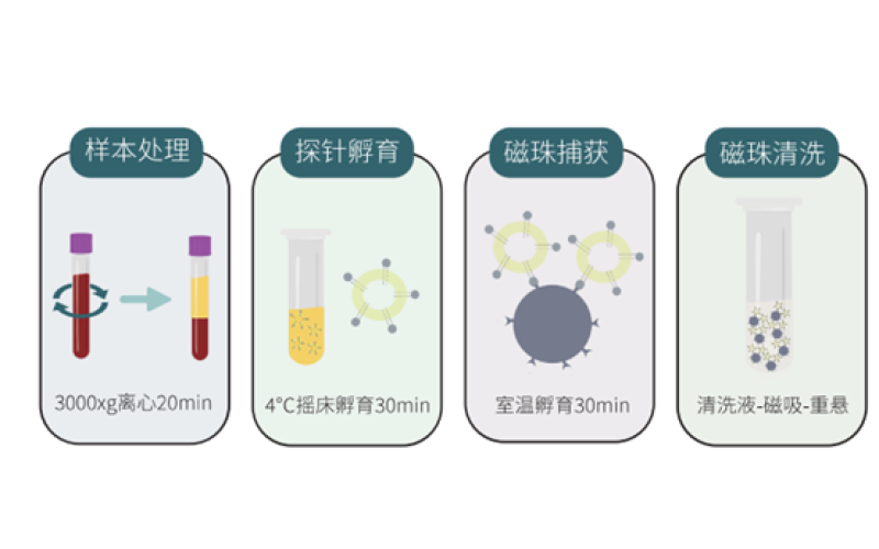 膜特異性外泌體富集試劑盒（磁珠法）
