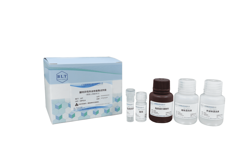 膜特異性外泌體富集試劑盒（細胞上清磁珠法）