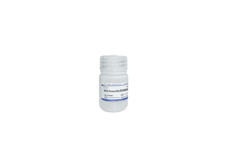 RIPA PowerMix預(yù)混裂解液