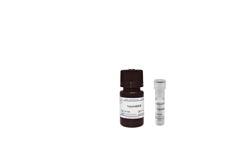 Tubulin染色液