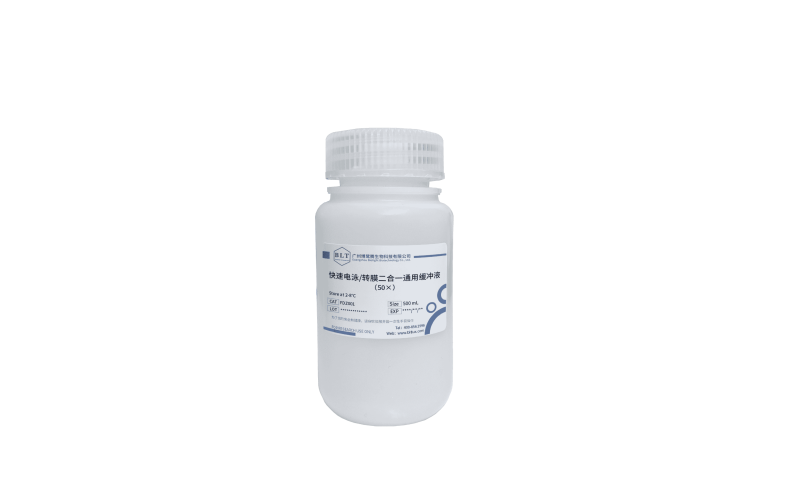 快速電泳/轉(zhuǎn)膜二合一通用緩沖液（50×）
