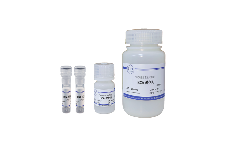 BCA蛋白定量試劑盒